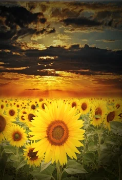 Laeacco Sunflowers Fields Clouds Sunset Scenic Photography Backgrounds Customized Photography Backdrops For Photo Studio
Laeacco Sunflowers Fields Clouds Sunset Scenic Photography Backgrounds Customized Photography Backdrops For Photo Studio