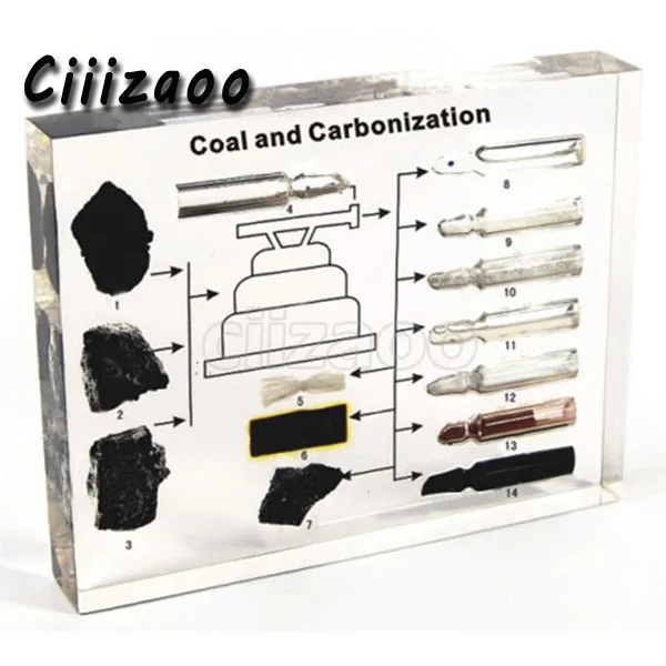 Coal and Carbonization Specimen paperweight Collection embedded In Clear Lucite Block Embedding Specimen
Coal and Carbonization Specimen paperweight Collection embedded In Clear Lucite Block Embedding Specimen