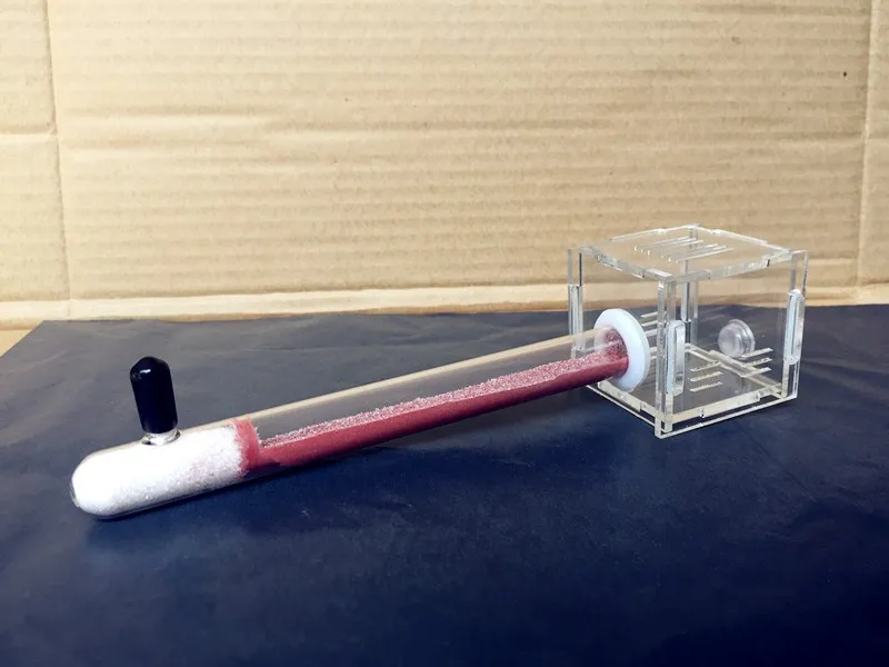 New Mini 1pcs Glass Tubes Ant Nest with Active Zone Granja de Hormigas Nid Fourmis Acryl Nest Ants Insetos Acrylic Ant Farm
New Mini 1pcs Glass Tubes Ant Nest with Active Zone Granja de Hormigas Nid Fourmis Acryl Nest Ants Insetos Acrylic Ant Farm