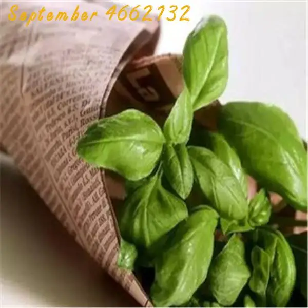 Big promotion 100 pcs Basil, Lavander, Creeping Thyme Mix Spice Combo True Flower For Home Garden DIY Bonsai Planting Heirloom
Big promotion 100 pcs Basil, Lavander, Creeping Thyme Mix Spice Combo True Flower For Home Garden DIY Bonsai Planting Heirloom