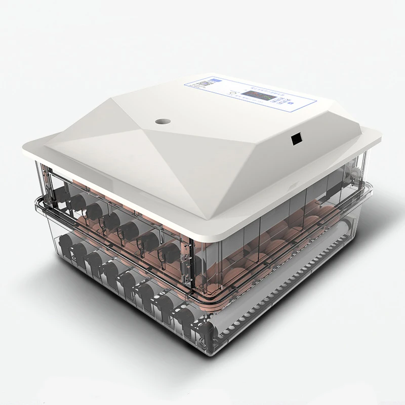 Incubator Small Household Incubator Full-automatic Intelligent Chicken Incubator Egg Incubator Chicken Coop Chicken Incubator
Incubator Small Household Incubator Full-automatic Intelligent Chicken Incubator Egg Incubator Chicken Coop Chicken Incubator