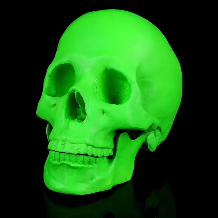 Moquerry Resin Craft Green Skull Statues For Decoration Creative Skull Statue Sculpture Home Decoration Accessories Halloween
Moquerry Resin Craft Green Skull Statues For Decoration Creative Skull Statue Sculpture Home Decoration Accessories Halloween