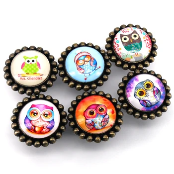 6x Cartoon Owl Custom Dresser Knob Drawer Knobs Antique Bronze Kitchen Cabinet Handles Kids Dresser Pull Handle
6x Cartoon Owl Custom Dresser Knob Drawer Knobs Antique Bronze Kitchen Cabinet Handles Kids Dresser Pull Handle
