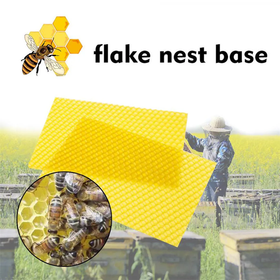 VOGVIGO Bees Nest Honey Foundation Sheets National Beehive Brood Box Wired Wax Hive Beekeeping Easibee Tools
VOGVIGO Bees Nest Honey Foundation Sheets National Beehive Brood Box Wired Wax Hive Beekeeping Easibee Tools