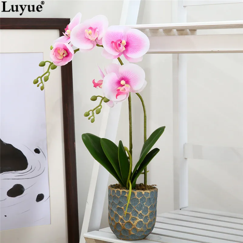 luyue Official Store Artificial Phalaenopsis Orchid Pot Flower Arrangement Real Touch simulation Plants Home Decor With Vase
luyue Official Store Artificial Phalaenopsis Orchid Pot Flower Arrangement Real Touch simulation Plants Home Decor With Vase