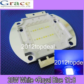 2pcs 20W Cool White 10000K+Royal Blue 445nm-455nm 12:8 High Power LED Light Bulb DIY
2pcs 20W Cool White 10000K+Royal Blue 445nm-455nm 12:8 High Power LED Light Bulb DIY