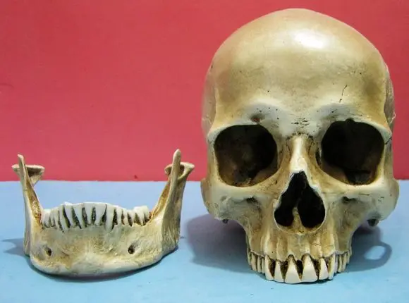 Resin crafts Ghost skull model Halloween props decoration High artificial bar decor home decoration
Resin crafts Ghost skull model Halloween props decoration High artificial bar decor home decoration