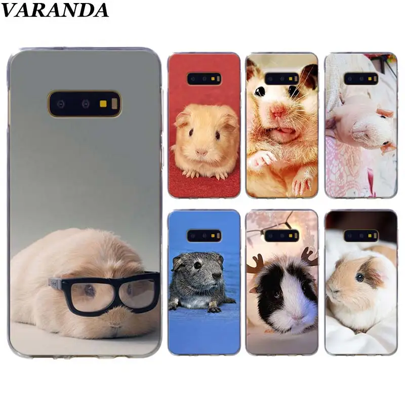 Guinea Pig Cute Animal Phone cases for Samsung Galaxy S10 Plus S10e S8 S9 Plus S6 S7 edge A50 Note 8 9 TPU Soft Silicone case
Guinea Pig Cute Animal Phone cases for Samsung Galaxy S10 Plus S10e S8 S9 Plus S6 S7 edge A50 Note 8 9 TPU Soft Silicone case