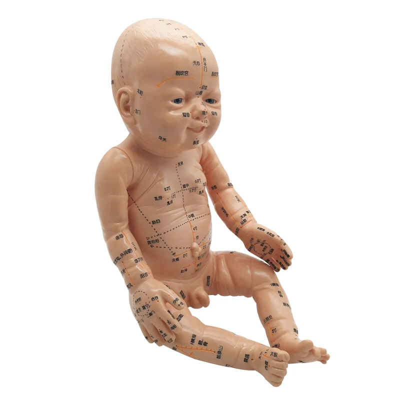 Child massage model with Acupuncture points Yuesao training Chinese medicine teaching free shipping
Child massage model with Acupuncture points Yuesao training Chinese medicine teaching free shipping