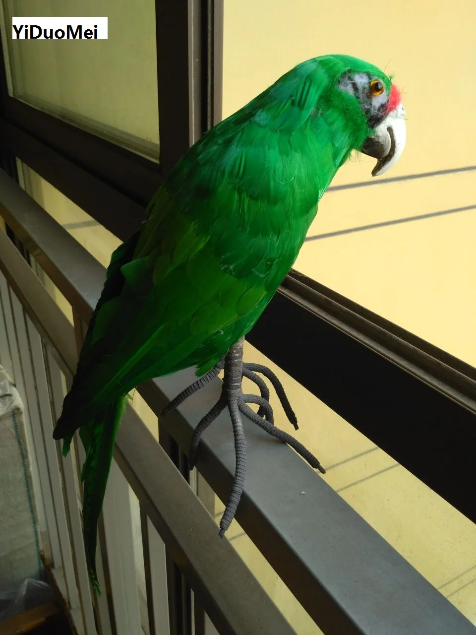 green feathers parrot large 40cm artificial bird model handicraft,prop,home garden decoration gift p1822
green feathers parrot large 40cm artificial bird model handicraft,prop,home garden decoration gift p1822