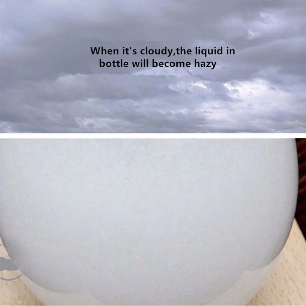 163939_6