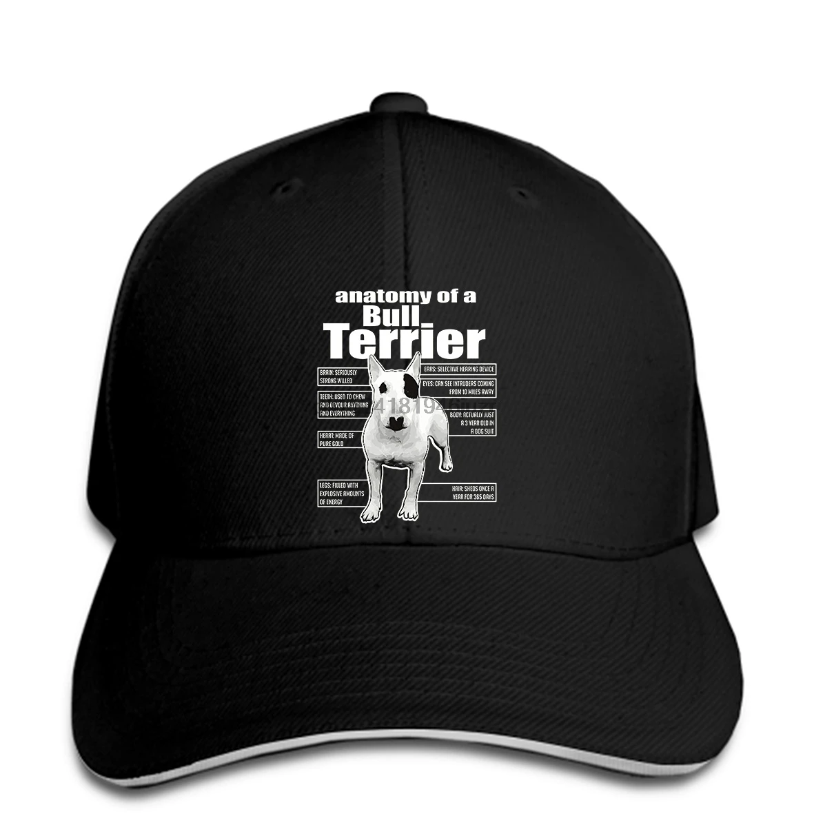 hip hop Baseball caps ANATOMY OF A BULL TERRIER S FUNNY BULL TERRIER snapback