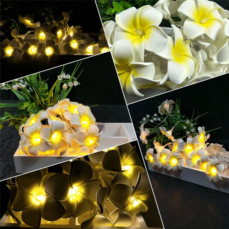 2.2m 20 Frangipani Flower LED String Lights Christmas Tree Hanging Ornament Sweet Wedding Birthday Xmas NEW Year Home Decoration
2.2m 20 Frangipani Flower LED String Lights Christmas Tree Hanging Ornament Sweet Wedding Birthday Xmas NEW Year Home Decoration