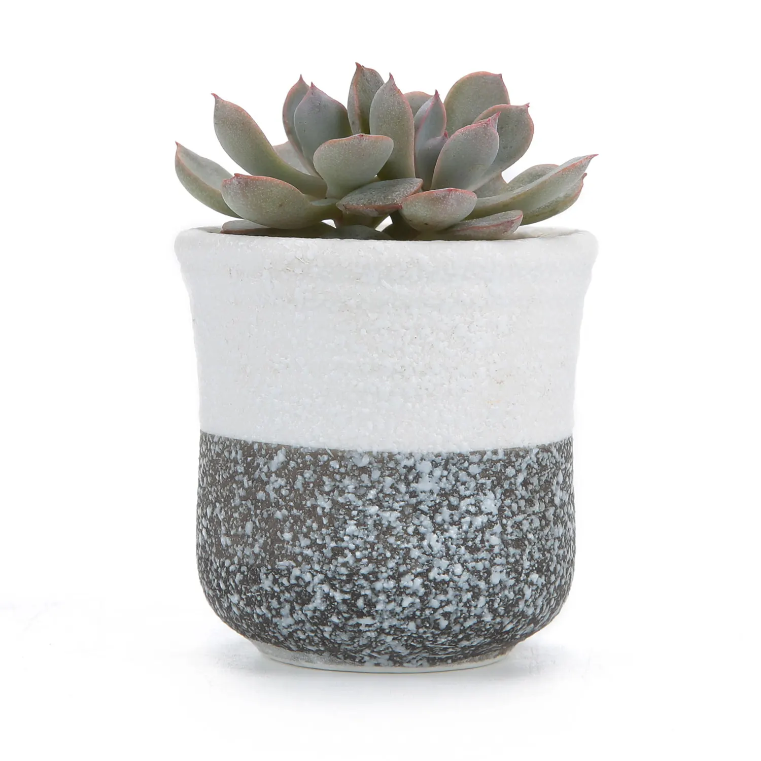 T4U 2.25 Inch Ceramic Mini Korea Style Snow Serial No.1 succulent Plant Pot Cactus Plant Pot Flower Pot Container Planter
T4U 2.25 Inch Ceramic Mini Korea Style Snow Serial No.1 succulent Plant Pot Cactus Plant Pot Flower Pot Container Planter