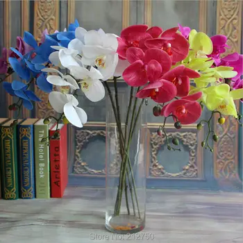 High quality Express free shipping butterfly orchids big size hand feeling phalaenopsis artificial flowers
High quality Express free shipping butterfly orchids big size hand feeling phalaenopsis artificial flowers