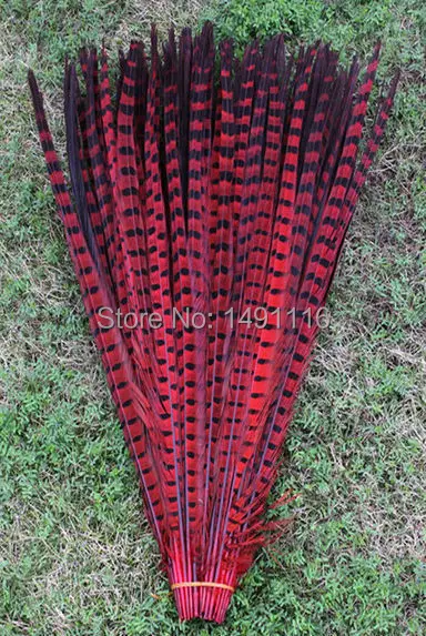 Wholesale 50 / lot 20-22inches / 50-55cm Red pheasant feathers / DIY jewelry decoration
Wholesale 50 / lot 20-22inches / 50-55cm Red pheasant feathers / DIY jewelry decoration