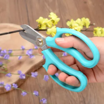gardening Floral scissors garden Bonsai Pruning Flower Shop Tools Home Potted Flower Arrangement Flowers scissors
gardening Floral scissors garden Bonsai Pruning Flower Shop Tools Home Potted Flower Arrangement Flowers scissors