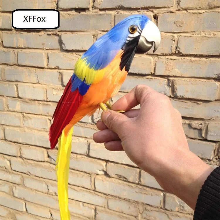 cute real life blue&orange parrot model foam&feather parrot bird gift about 32cm xf0083
cute real life blue&orange parrot model foam&feather parrot bird gift about 32cm xf0083