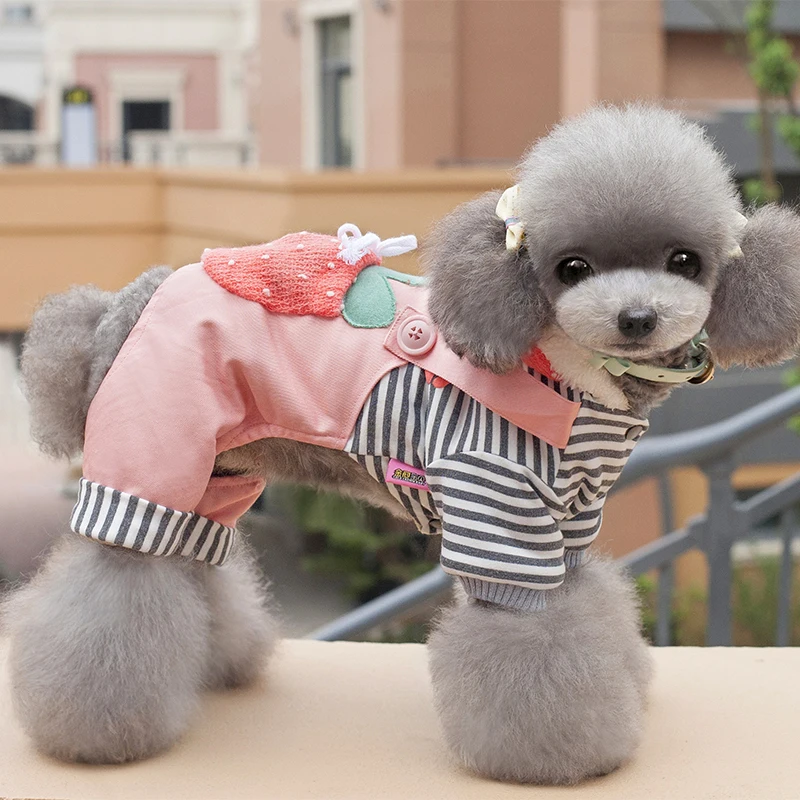 2017 pet clothing Teddy clothes autumn winter clothing dog clothes four thick warm clothes bear
2017 pet clothing Teddy clothes autumn winter clothing dog clothes four thick warm clothes bear