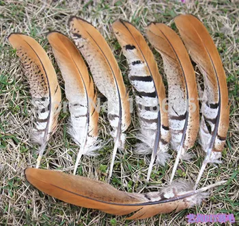 100Pcs/Lot 11-14cm Reeves Pheasant Striped Tail Feathers Wholesale Loose Quill Natural Smudge Wand Black Brown KX78
100Pcs/Lot 11-14cm Reeves Pheasant Striped Tail Feathers Wholesale Loose Quill Natural Smudge Wand Black Brown KX78