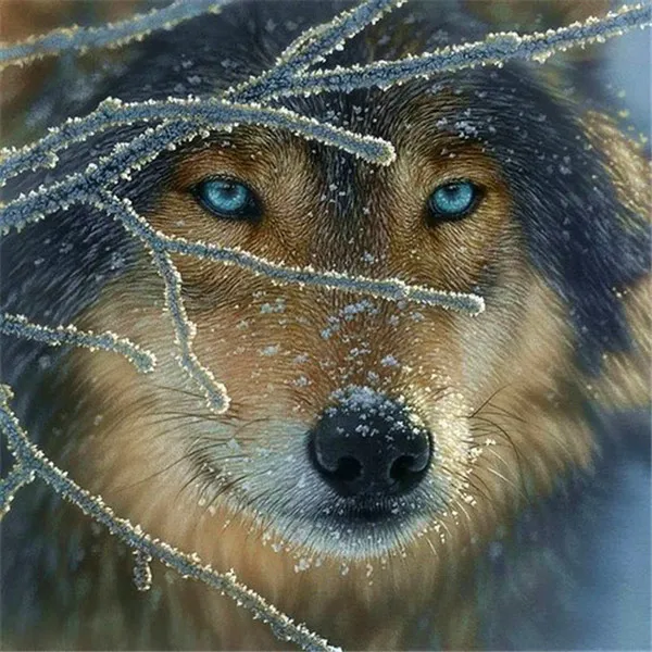 3d Diy Diamond Painting blue eyes wolf 2016Needlework Embroidery Resinstone Diamond Cross Stitch Mosaic Decoration
3d Diy Diamond Painting blue eyes wolf 2016Needlework Embroidery Resinstone Diamond Cross Stitch Mosaic Decoration