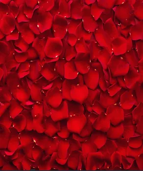 wall backdrop Vinyl cloth High quality Computer print Beautiful Red Rose Petals background
wall backdrop Vinyl cloth High quality Computer print Beautiful Red Rose Petals background