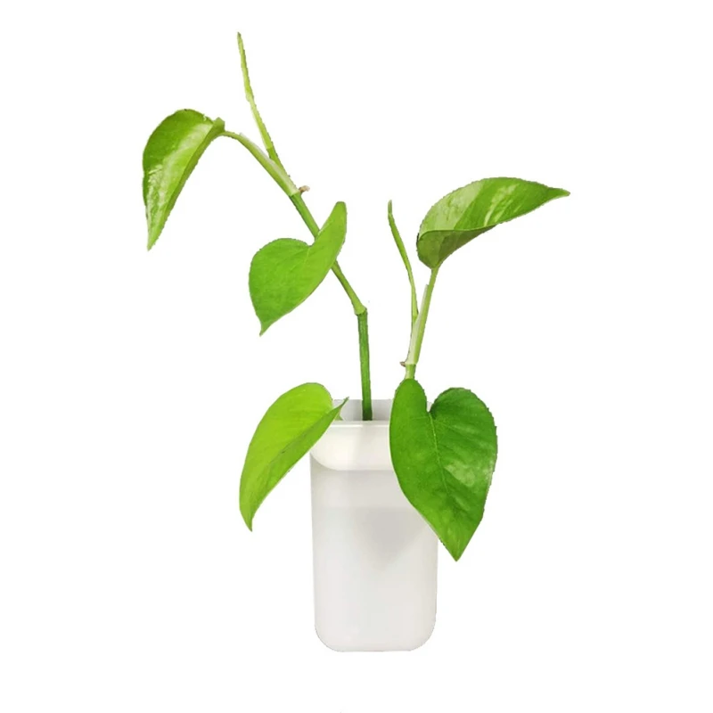New Silicone Vase Sticker Multi-purpose Vase Sticker For Wall Household Vase Sticker
New Silicone Vase Sticker Multi-purpose Vase Sticker For Wall Household Vase Sticker