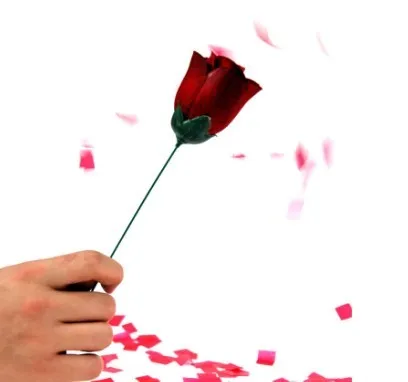 Free Shipping Automatic torch to rose --Magic Trick, Fun Magic, Party Magic,Fire Magic
Free Shipping Automatic torch to rose --Magic Trick, Fun Magic, Party Magic,Fire Magic