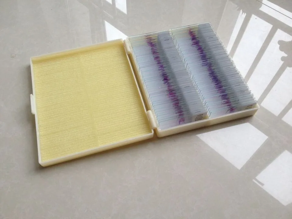 prepared microscope slides (111)