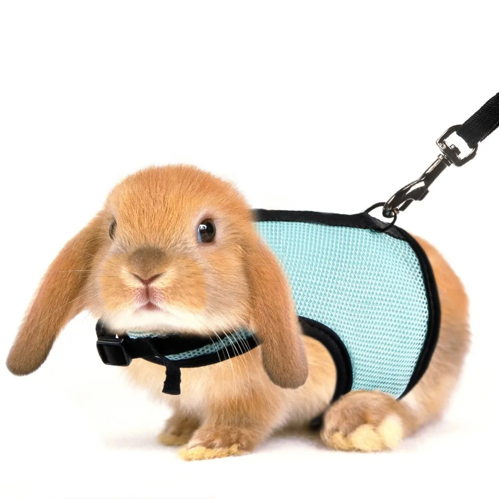 JANPET Rabbits Harness with Elastic Leash for Small Animal Adjustable Soft Pet Walking Lead Hamster Ferret Guinea Pig S/M/L
JANPET Rabbits Harness with Elastic Leash for Small Animal Adjustable Soft Pet Walking Lead Hamster Ferret Guinea Pig S/M/L
