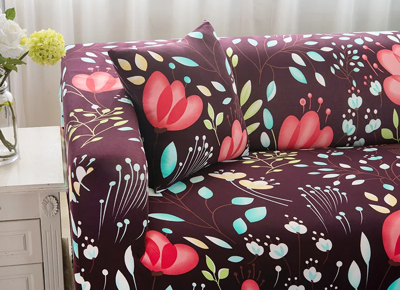 HTB1E3qURpXXXXafaXXXq6xXFXXXs