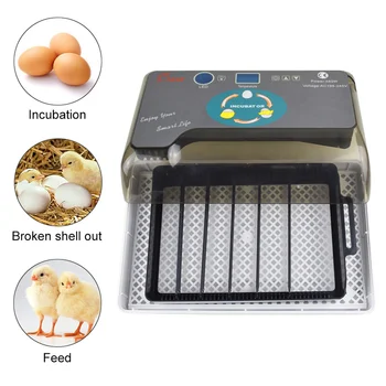 for Chicken Poultry Quail Eggs Home Use Automatic Intelligent Digital Egg Incubator Hatcher Large Capacity Practical Incubators
for Chicken Poultry Quail Eggs Home Use Automatic Intelligent Digital Egg Incubator Hatcher Large Capacity Practical Incubators