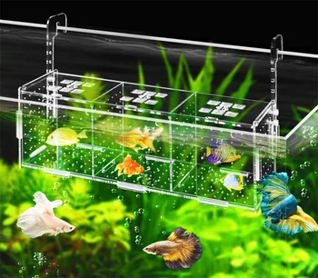 Acrylic transparent isolation box for fish tank aquarium fish fry hatching reproduction single and double grid
Acrylic transparent isolation box for fish tank aquarium fish fry hatching reproduction single and double grid