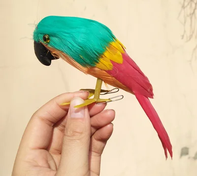 22cm foam&feathers artificial Emerald parrot bird handicraft,garden decoration prop gift a2567
22cm foam&feathers artificial Emerald parrot bird handicraft,garden decoration prop gift a2567