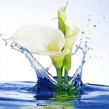 Embroidery Handicrafts Magnolia Water White Lily Diamond Painting Cross Stitch Full Square Flower Mosaic European Home Decor
Embroidery Handicrafts Magnolia Water White Lily Diamond Painting Cross Stitch Full Square Flower Mosaic European Home Decor