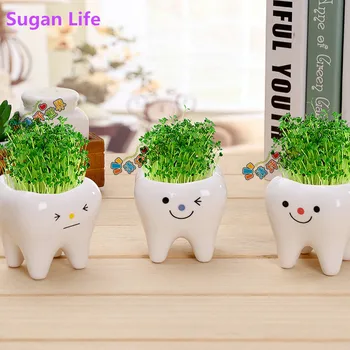 Cute tooth pot vase creative ceramic cartoon tooth flower pot succulent flower pot home decoration crafts dental clinic gift toy
Cute tooth pot vase creative ceramic cartoon tooth flower pot succulent flower pot home decoration crafts dental clinic gift toy