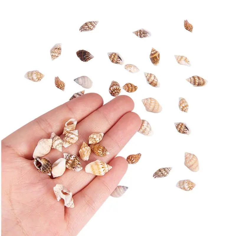 1 Box Over 1300 Pcs Mini Natural Beige ShellConch Beads Seaside Candle Jewelry Making
1 Box Over 1300 Pcs Mini Natural Beige ShellConch Beads Seaside Candle Jewelry Making