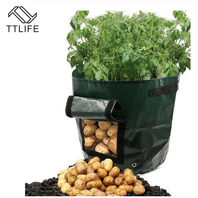 TTLIFE Grow Bags Durable Plant Growing Bags Portable Potato Grow Bags with Handles for Grow Multi-Species Vegetables Carrot
TTLIFE Grow Bags Durable Plant Growing Bags Portable Potato Grow Bags with Handles for Grow Multi-Species Vegetables Carrot