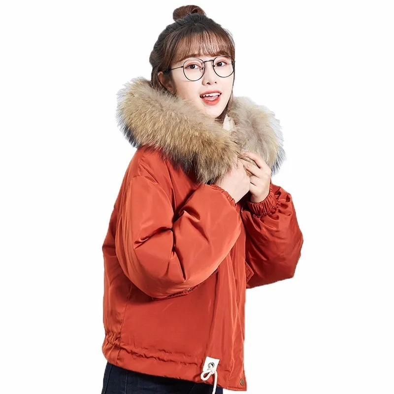 2018 Winter New Sweet Thicken Short Down Jackets Girl's Student Loose White Duck Down Coat Natural Raccon Fur Hooded Outerwears
2018 Winter New Sweet Thicken Short Down Jackets Girl's Student Loose White Duck Down Coat Natural Raccon Fur Hooded Outerwears