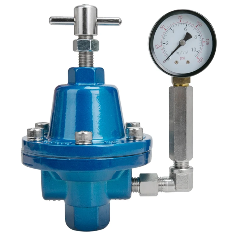 Fluid Pressure Compressor Regulator Valves for Spray Pneumatic Parts Hardware Power Tool Accessories Part Pressure Gauge Fitting
Fluid Pressure Compressor Regulator Valves for Spray Pneumatic Parts Hardware Power Tool Accessories Part Pressure Gauge Fitting