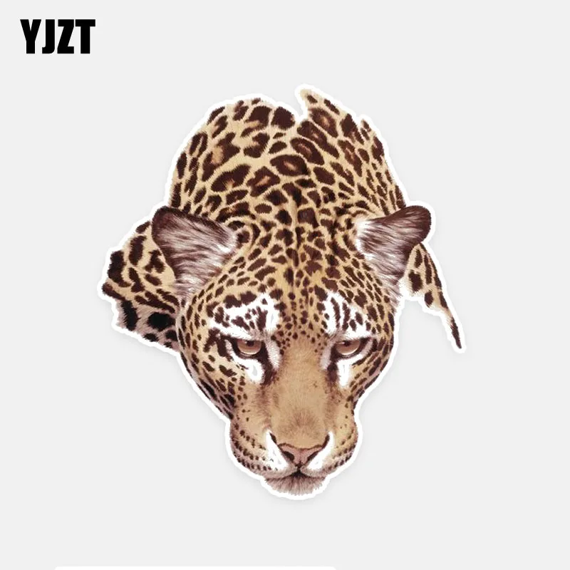 YJZT 12CM*13.5CM A Melancholy Leopard Funny PVC Car Sticker Decal Graphical 5-0707
YJZT 12CM*13.5CM A Melancholy Leopard Funny PVC Car Sticker Decal Graphical 5-0707