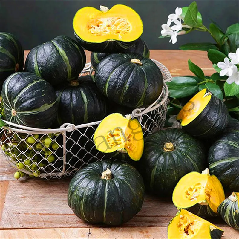 10pcs Pumpkin Bonsai Rare Chinese Rainbow Bulb Vegetable Bonsai Herb Mini Bonsai Pot Planter Easy To Grow Plant For Garden
10pcs Pumpkin Bonsai Rare Chinese Rainbow Bulb Vegetable Bonsai Herb Mini Bonsai Pot Planter Easy To Grow Plant For Garden