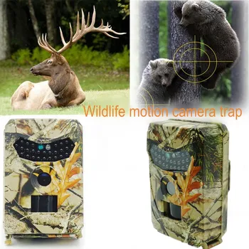 Wild Camera Photo-Traps 12MP 1080P Motion Triggered Hunting Wildcamera Trap IP56 Waterproof Outdoor Night Vision Trail Camera
Wild Camera Photo-Traps 12MP 1080P Motion Triggered Hunting Wildcamera Trap IP56 Waterproof Outdoor Night Vision Trail Camera