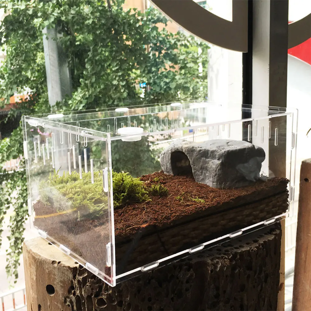 30*20*15cm Reptile Box Reptile Terrarium Durable Transparent Acrylic Cold Blooded Animals Insect Home Decoration Reptile Pets
30*20*15cm Reptile Box Reptile Terrarium Durable Transparent Acrylic Cold Blooded Animals Insect Home Decoration Reptile Pets