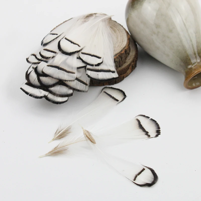 20 / 50 pcs 4-9 cm High quality White Natural Pheasant Chicken Feather Plume Diy jewelry Campanula Dance clothing Decorative
20 / 50 pcs 4-9 cm High quality White Natural Pheasant Chicken Feather Plume Diy jewelry Campanula Dance clothing Decorative