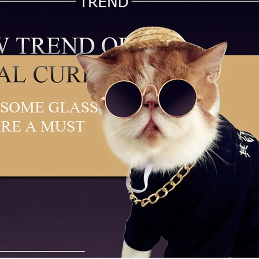 Cat Eye-wear Pet Sunglasses Little Dog Glasses Cat Glasses Photos Props Dog cat Dress Up Accessories Pet Supplies
Cat Eye-wear Pet Sunglasses Little Dog Glasses Cat Glasses Photos Props Dog cat Dress Up Accessories Pet Supplies