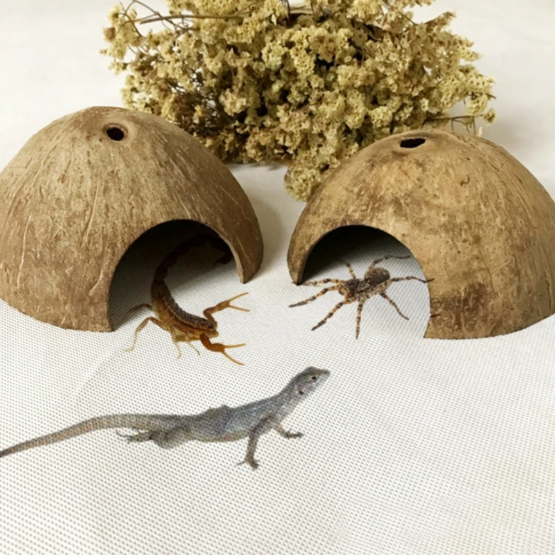 Reptile Hide Habitat Natural Coconut Shell Lizard Spider Small Animal Cave House Turtle Shrimp House forAquarium Fish Tank Decor
Reptile Hide Habitat Natural Coconut Shell Lizard Spider Small Animal Cave House Turtle Shrimp House forAquarium Fish Tank Decor