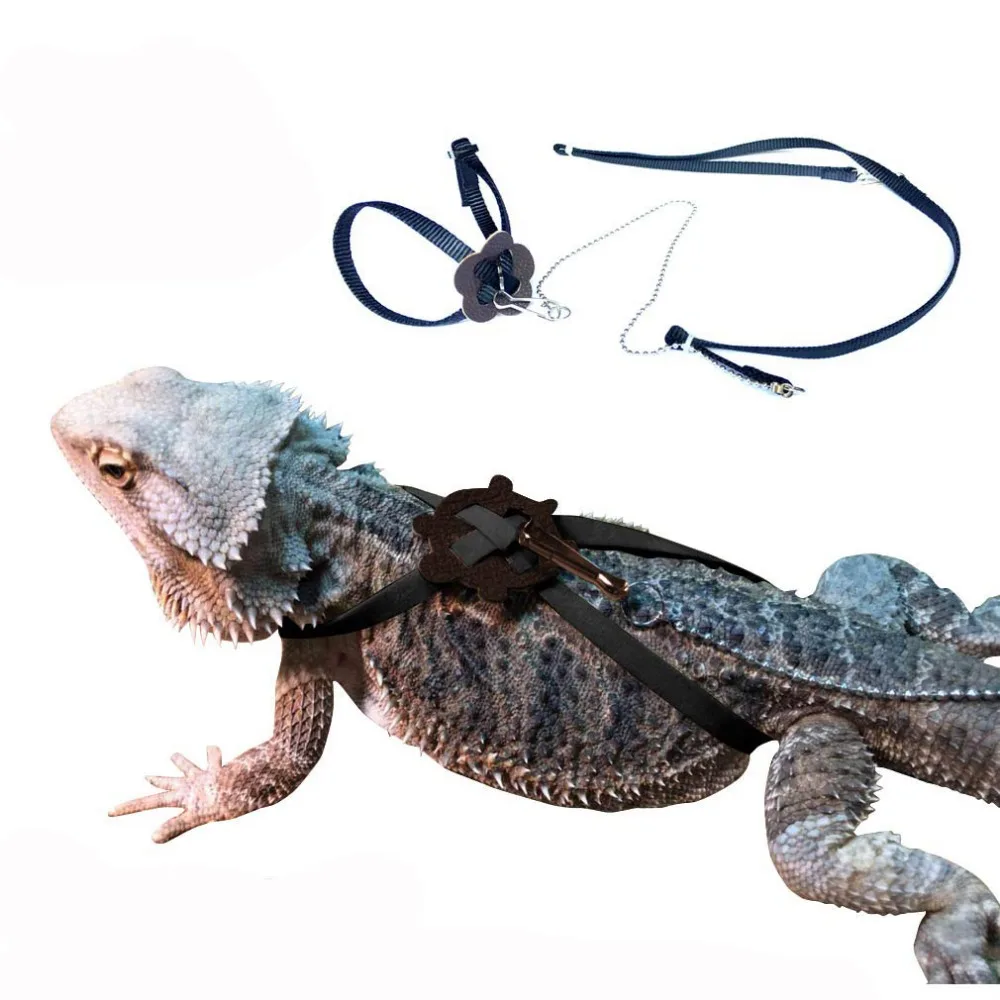 Multi Color Light Soft Fashion for Small Reptiles Pets Small Animal Nylon Leash（Purple Adjustable Lizard Harness Leash