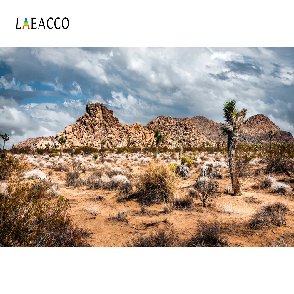 Laeacco Desert Cactus Hill Shrub Plant Cloud Child Wild Natural Scenic Photo Backgrounds Photography Backdrops For Photo Studio
Laeacco Desert Cactus Hill Shrub Plant Cloud Child Wild Natural Scenic Photo Backgrounds Photography Backdrops For Photo Studio