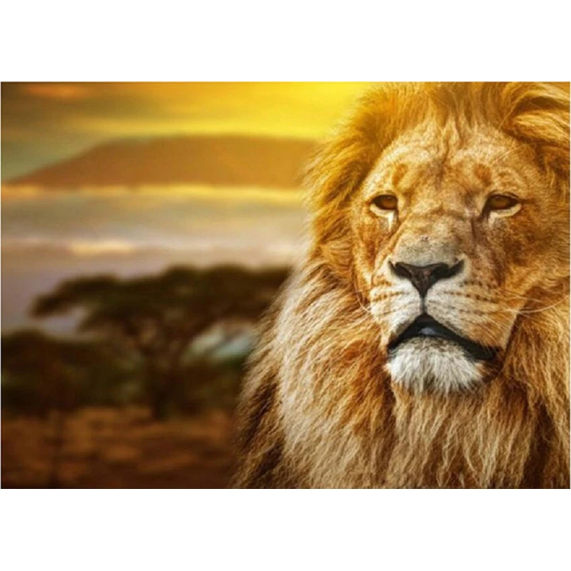 YIKEE diamond painting Lion,5d diamond painting full drill,5d full drill diamond paintings Y1644
YIKEE diamond painting Lion,5d diamond painting full drill,5d full drill diamond paintings Y1644